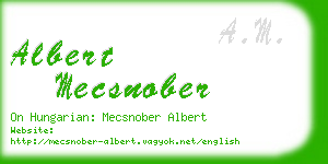 albert mecsnober business card